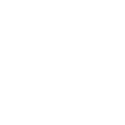 mvle Logo